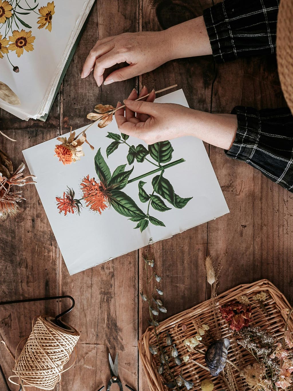  Botanical Watercolour – The Experience